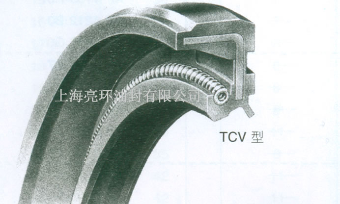 TCV�͹Ǽ��ͷ�����D