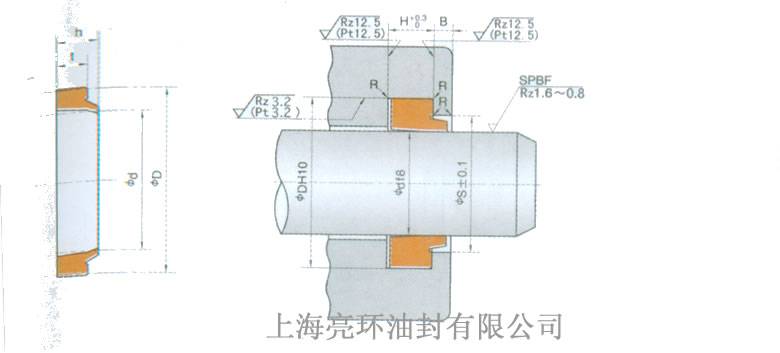 DSI�ܷ�����D