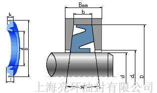 ZF�ͷ�����D